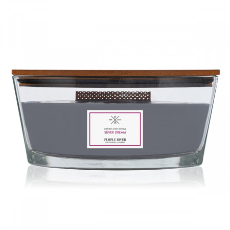 SVEĆA MIRISNA SILVER DREAM 453G A2123 