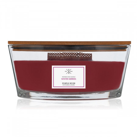 SVEĆA MIRISNA WINTER BERRIES 453G A2127 