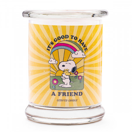 SVEĆA MIRISNA PEANUTS A FRIEND 250g  A1835 