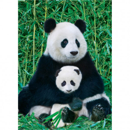 PUZZLE 1000 DELOVA 6000-0173 PANDA & BABY 