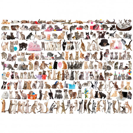 PUZZLE 1000 DELOVA 6000-0580 THE WORLD OF CATS 