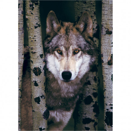 PUZZLE 1000 DELOVA 6000-1244 GRAY WOLF 