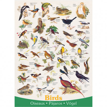 PUZZLE 1000 DELOVA 6000-1259 BIRDS 