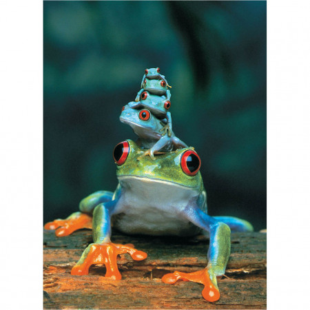PUZZLE 1000 DELOVA 6000-3004 RED-EYED TREE FROG 