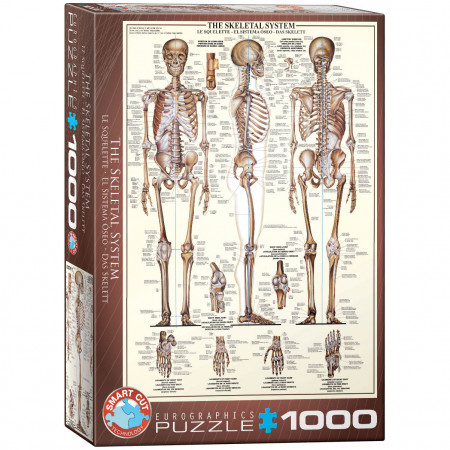 PUZZLE 1000 DELOVA 6000-3970 THE SKELETAL SYSTEM 