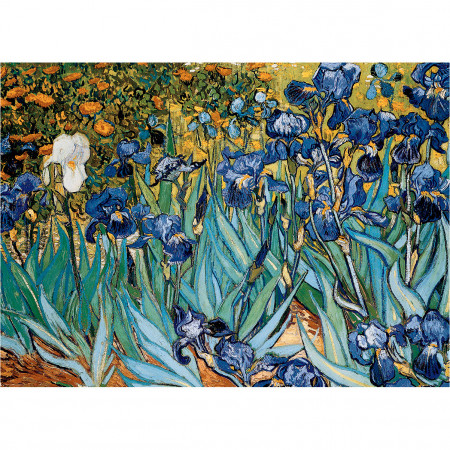 PUZZLE 1000 DELOVA 6000-4364 IRISES BY VINCENT VAN GOGH 