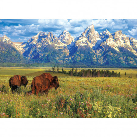 PUZZLE 1000 DELOVA 6000-5474 GRAND TETON NATIONAL PARK 