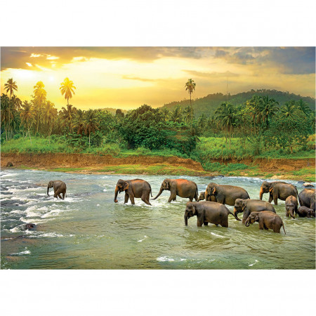 PUZZLE 1000 DELOVA 6000-5540 SAVE THE PLANET ANIMAL KINGDOM 