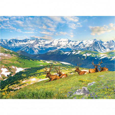 PUZZLE 1000 DELOVA 6000-5705 MOUNTAIN ELKS 