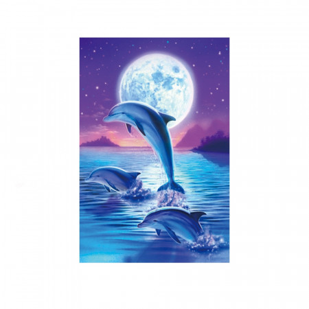 SET ZA BOJENJE DIAMOND PAINTING 47160Z 