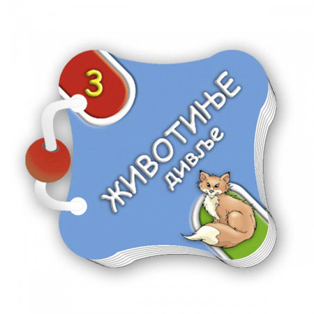 SLIKOVNICA ANATOMSKE RAZNE PIKOM 