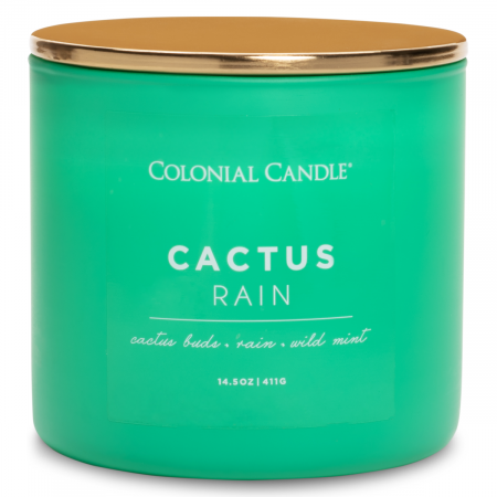SVEĆA MIRISNA COLONIAL CACTUS RAIN 411g CC123747 
