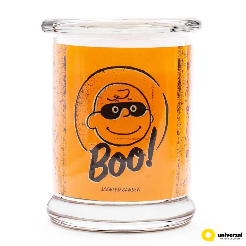 SVEĆA MIRISNA PEANUTS BOO 250g  A1839 