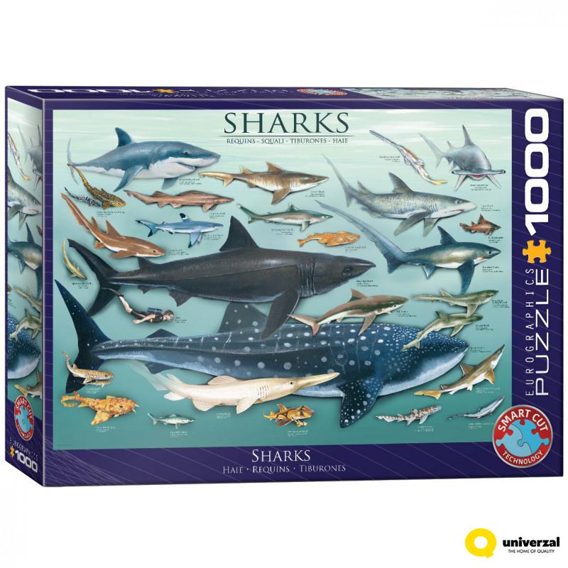 PUZZLE 1000 DELOVA 6000-0079 SHARKS 