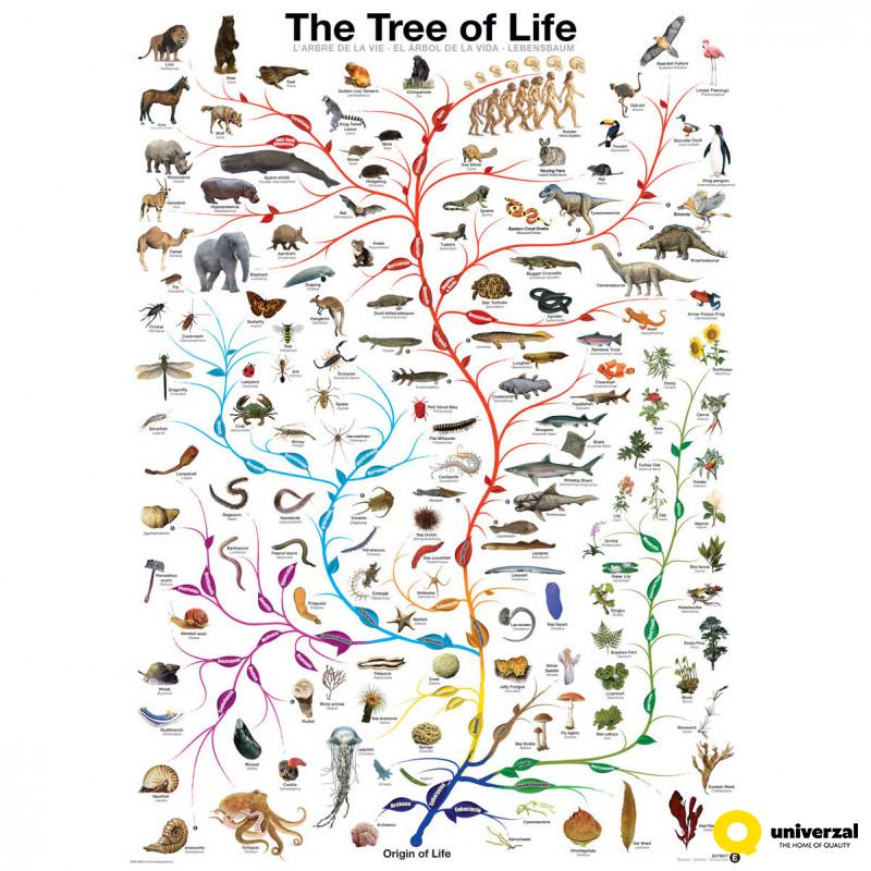 PUZZLE 1000 DELOVA 6000-0282 THE TREE OF LIFE 