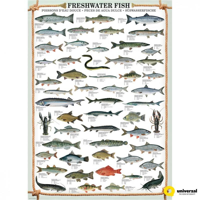 PUZZLE 1000 DELOVA 6000-0312 FRESHWATER FISH 