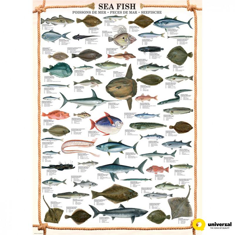 PUZZLE 1000 DELOVA 6000-0313 SEA FISH 