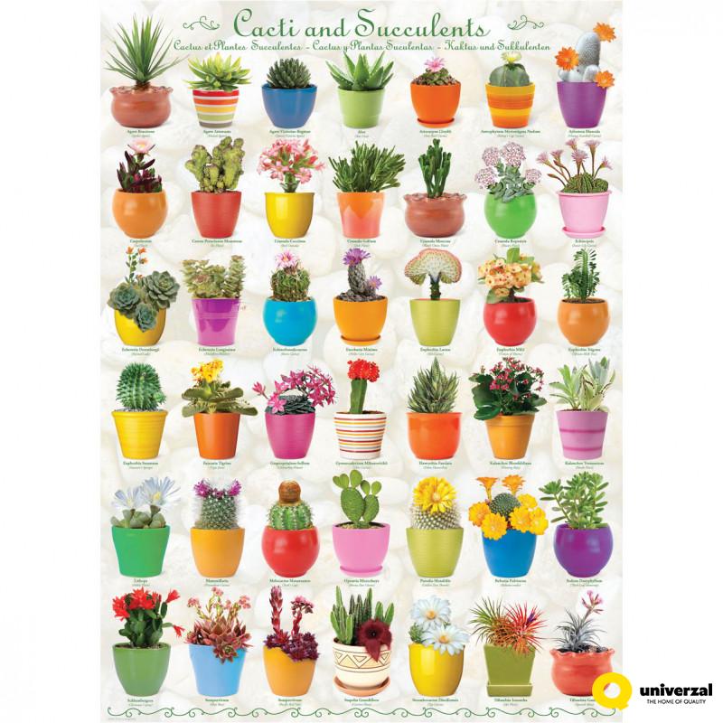 PUZZLE 1000 DELOVA 6000-0654 CACTI & SUCCULENTS 