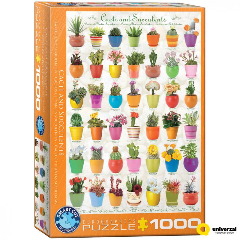 PUZZLE 1000 DELOVA 6000-0654 CACTI & SUCCULENTS 