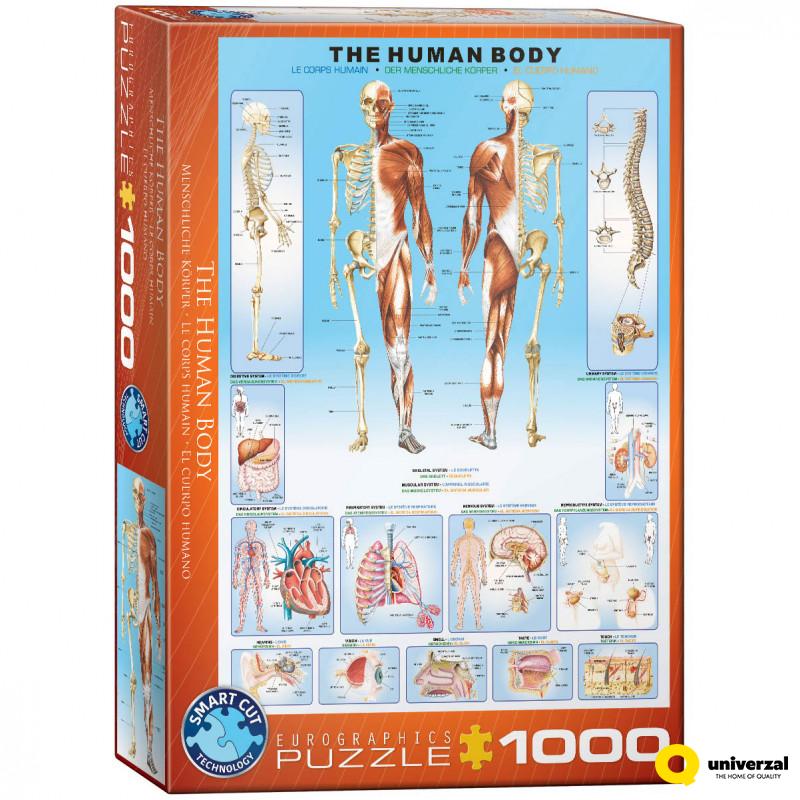 PUZZLE 1000 DELOVA 6000-1000 THE HUMAN BODY 