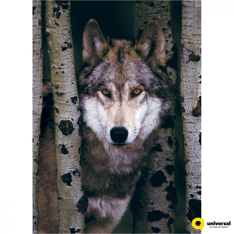 PUZZLE 1000 DELOVA 6000-1244 GRAY WOLF 