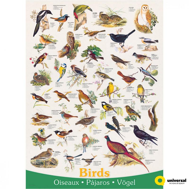 PUZZLE 1000 DELOVA 6000-1259 BIRDS 
