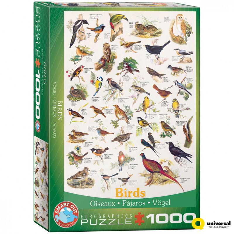 PUZZLE 1000 DELOVA 6000-1259 BIRDS 
