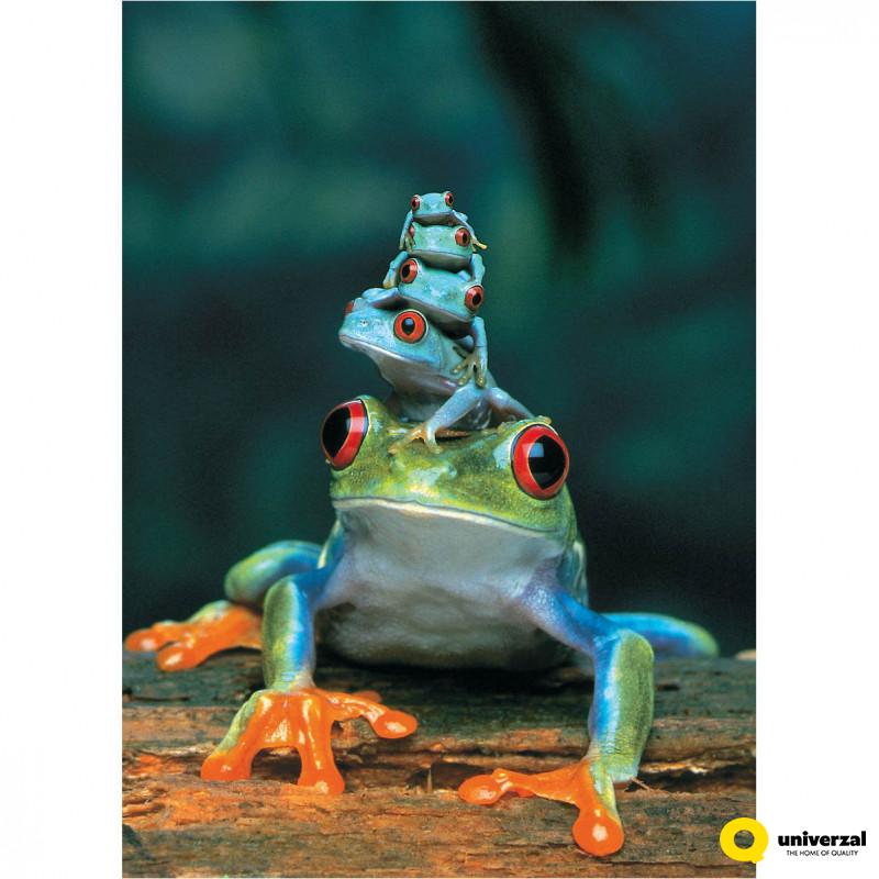 PUZZLE 1000 DELOVA 6000-3004 RED-EYED TREE FROG 