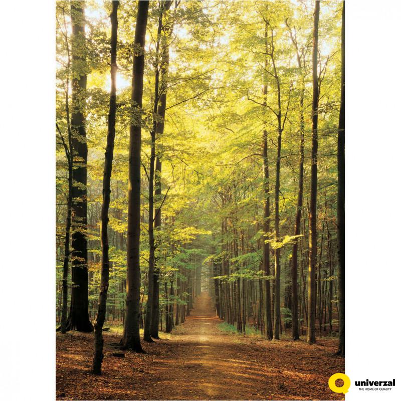 PUZZLE 1000 DELOVA 6000-3846 FOREST PATH 