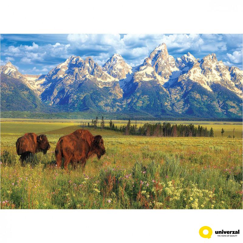 PUZZLE 1000 DELOVA 6000-5474 GRAND TETON NATIONAL PARK 