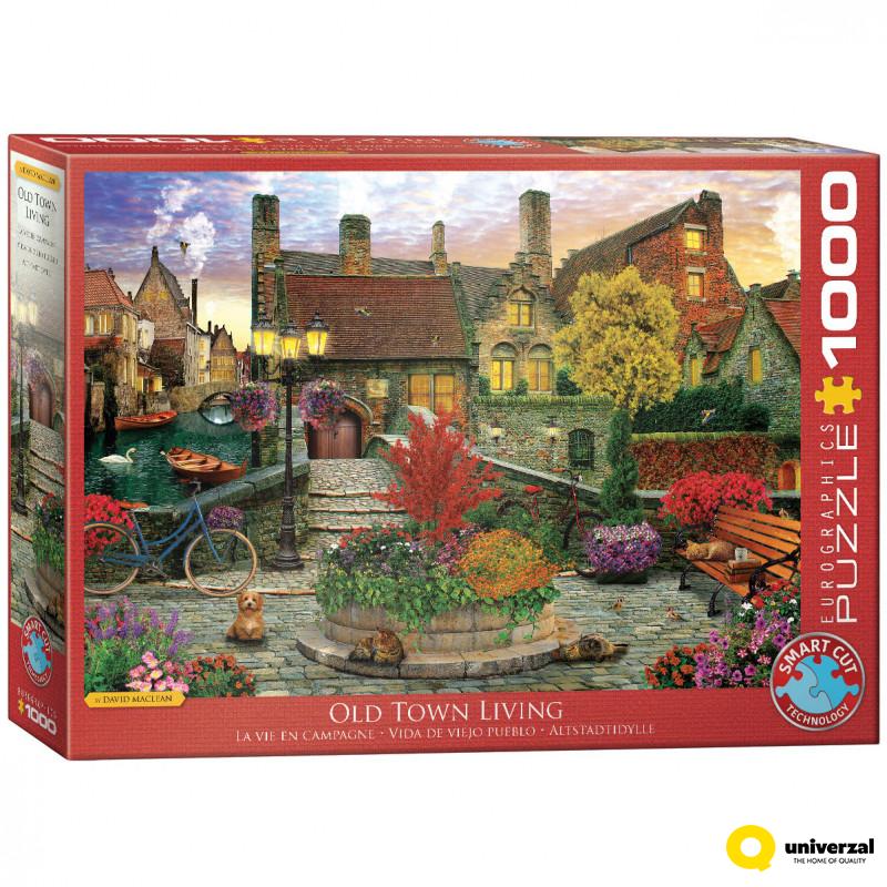 PUZZLE 1000 DELOVA 6000-5531 HOMETOWN BY DOMINIC DAVISON 