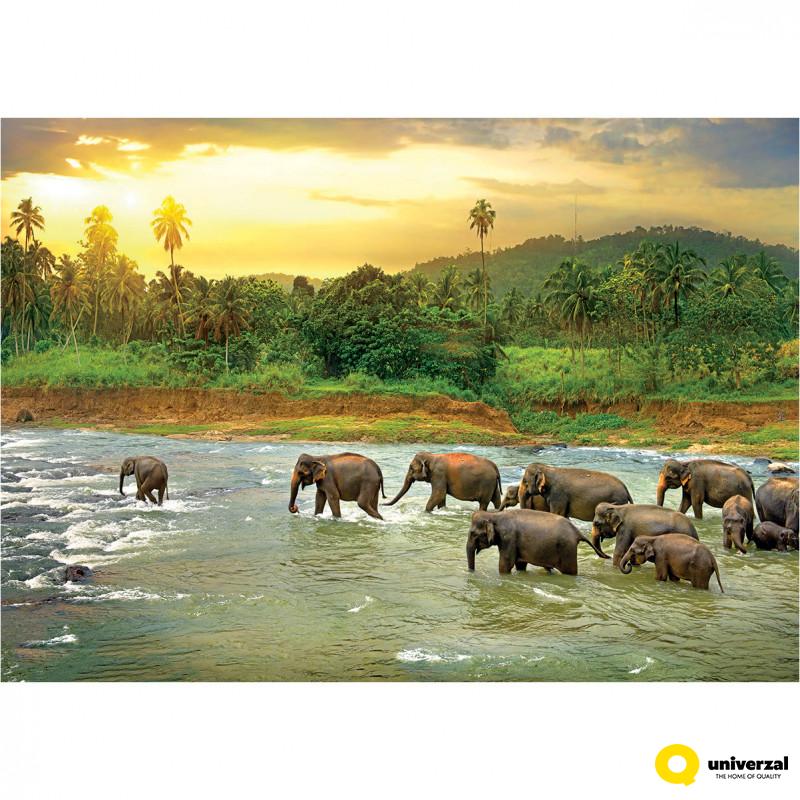 PUZZLE 1000 DELOVA 6000-5540 SAVE THE PLANET ANIMAL KINGDOM 