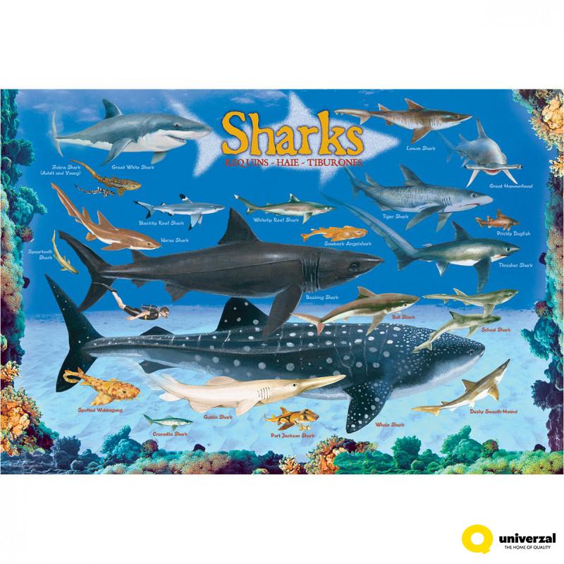 PUZZLE 100 DELOVA  6100-0079 SHARKS 