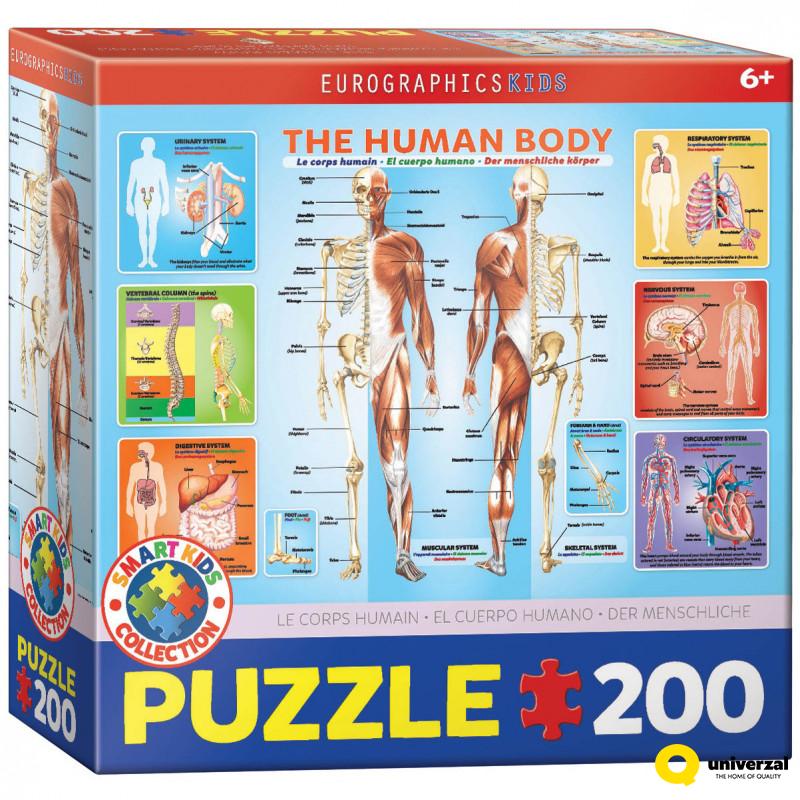 PUZZLE 200 DELOVA  6200-1000 HUMAN BODY 