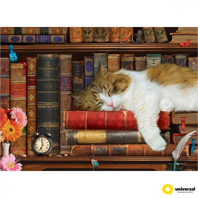 PUZZLE 500 DELOVA  6500-5545 THE CAT NAP 