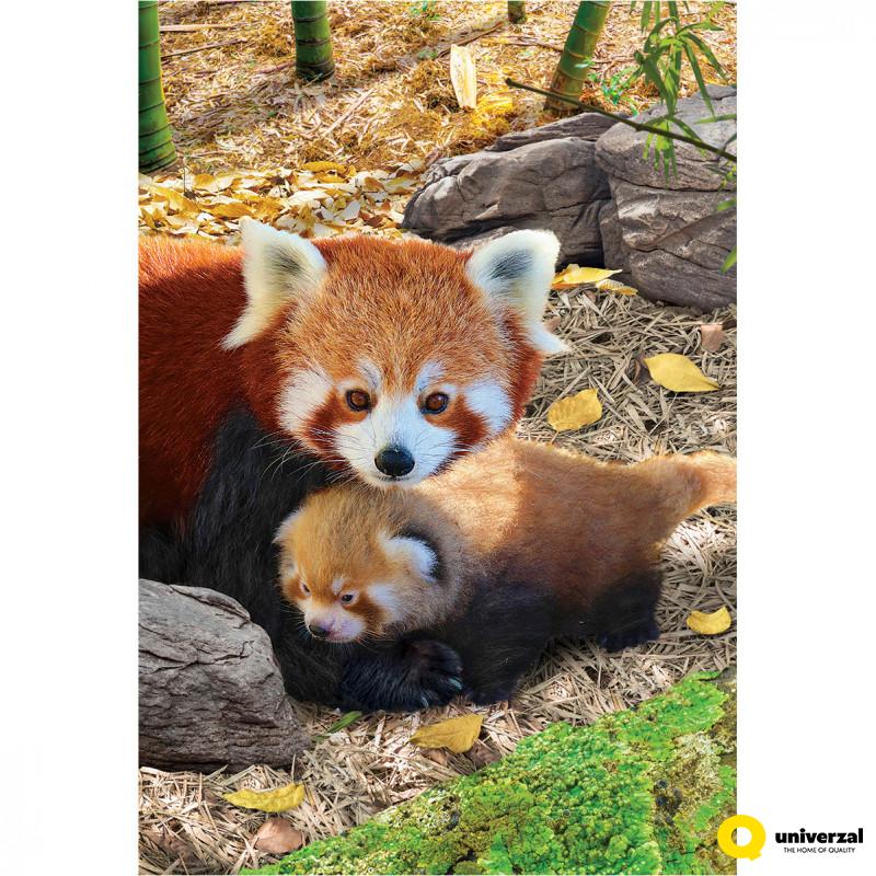 PUZZLE 250 DELOVA 8251-5557 RED PANDAS 