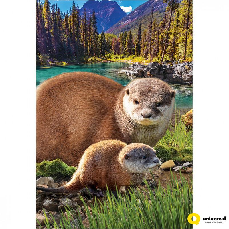 PUZZLE 250 DELOVA 8251-5558 OTTERS 