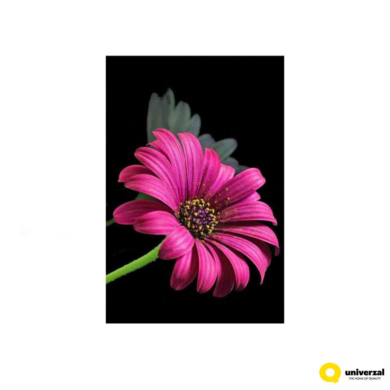 SET ZA BOJENJE DIAMOND PAINTING 47160Z 