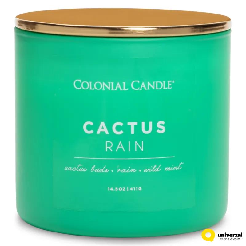 SVEĆA MIRISNA COLONIAL CACTUS RAIN 411g CC123747 