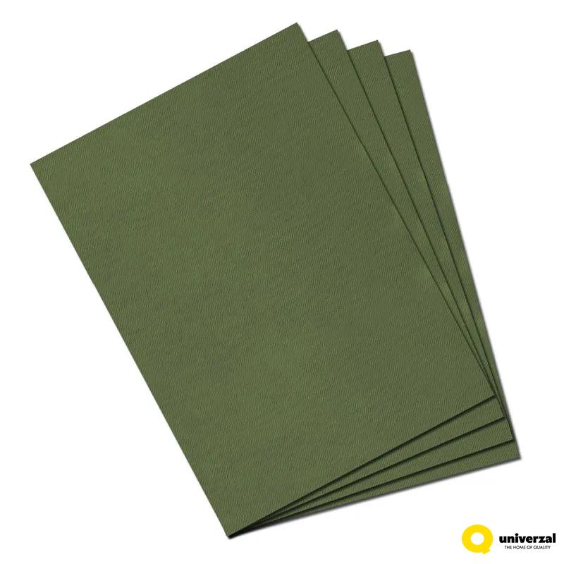 KARTON 50X65cm 160g CANMT ZELENI CANSON 