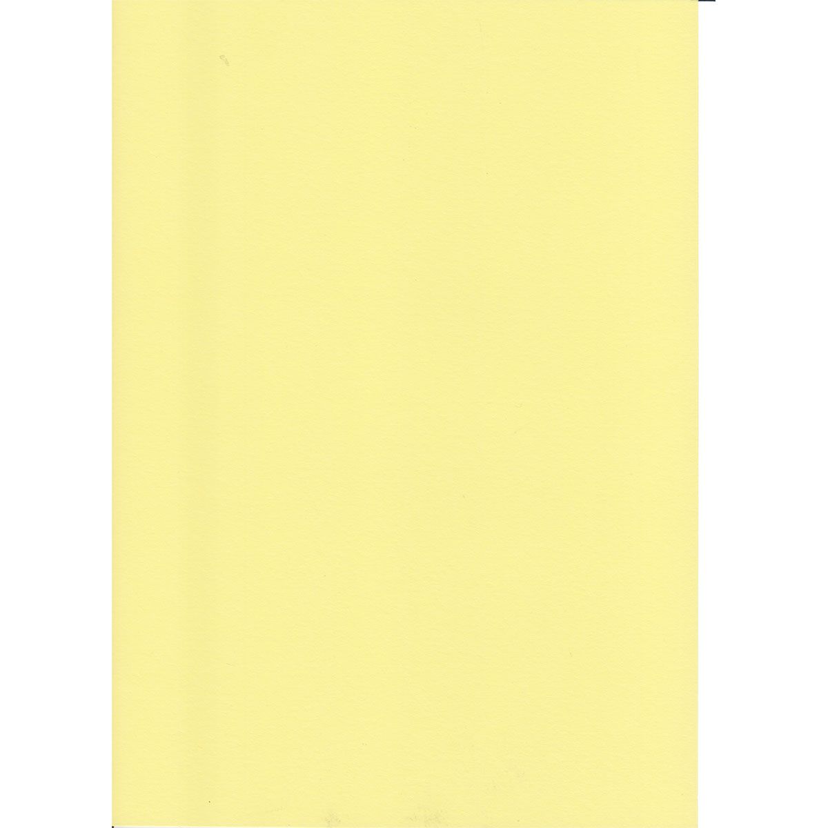 KARTON 70X100CM 220G 10/1 OCTOPUS BEŽ UNL-1998