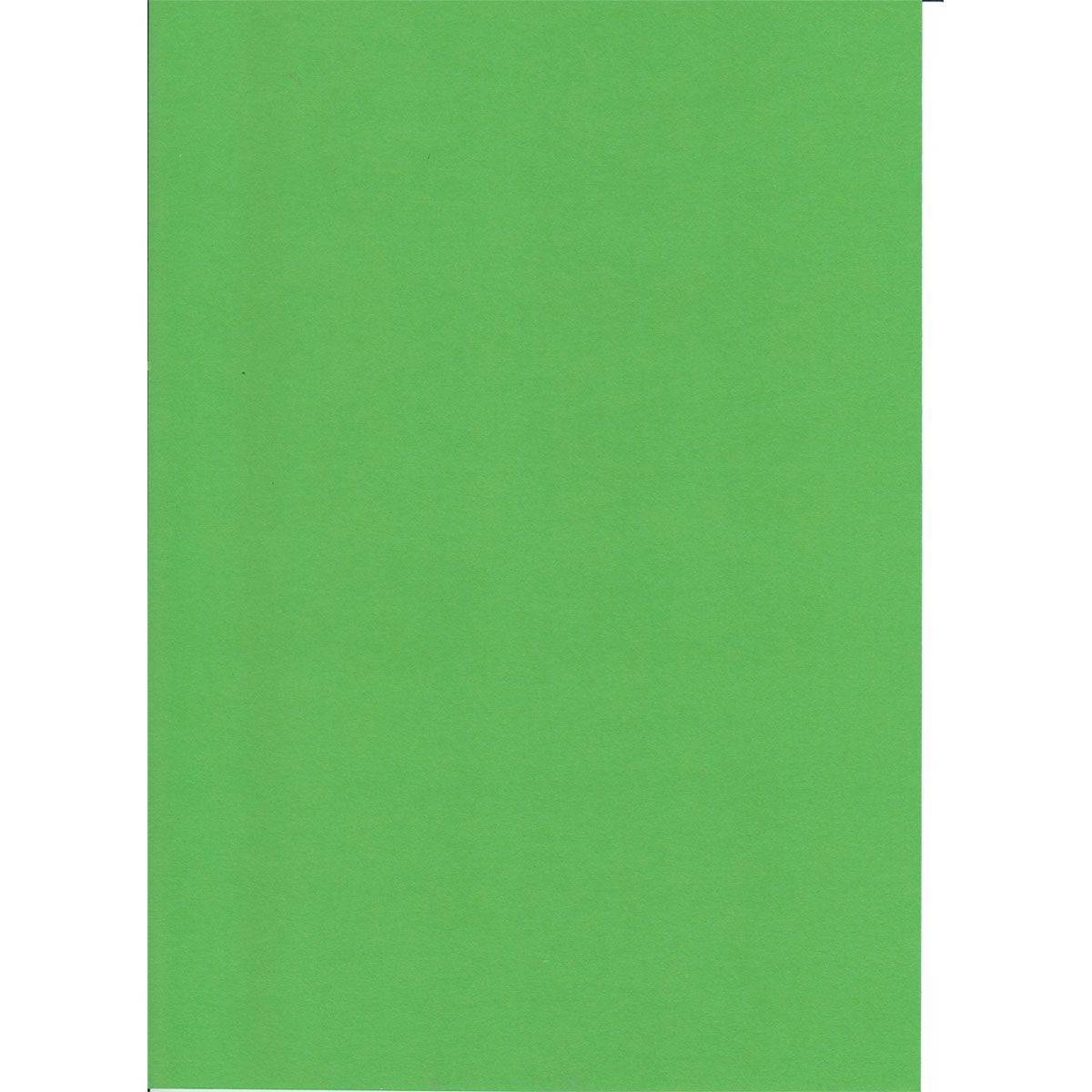 KARTON 70X100CM 220G 10/1 OCTOPUS ZELENA TRAVA UNL-2012