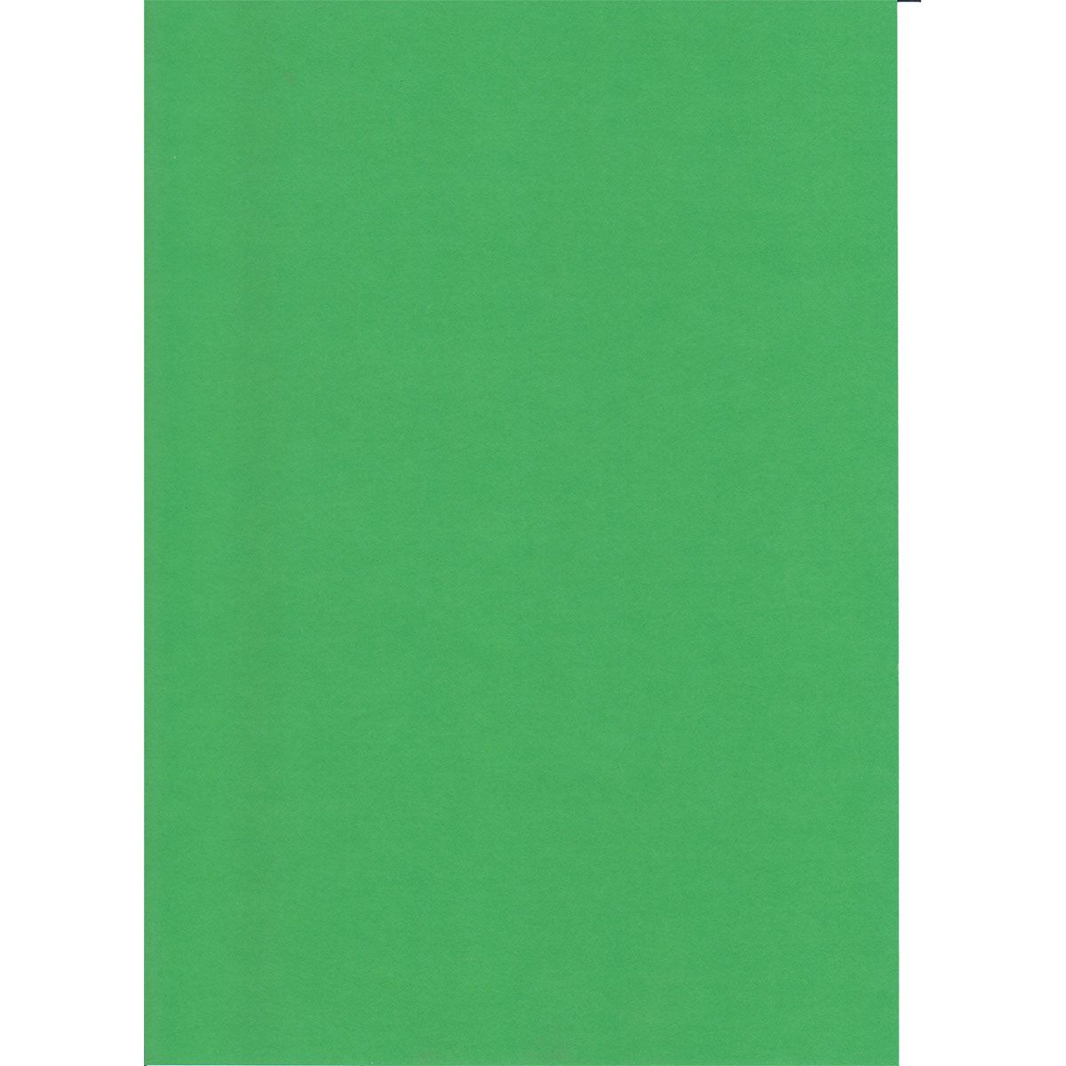 KARTON 70X100CM 220G 10/1 OCTOPUS ZELENA UNL-2014