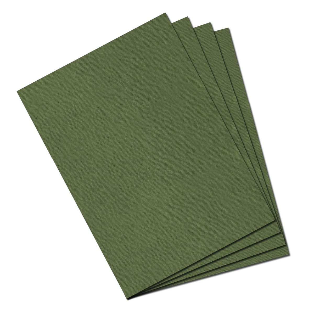 KARTON 50X65cm 160g CANMT ZELENI CANSON