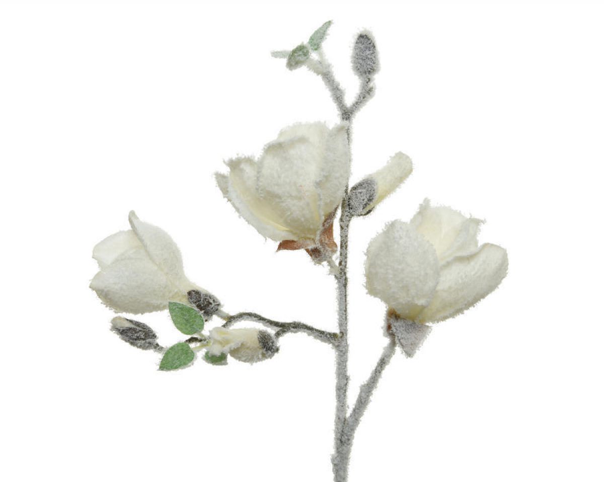 CVET UKRASNI MAGNOLIA 26X12X50CM WHITE 220211