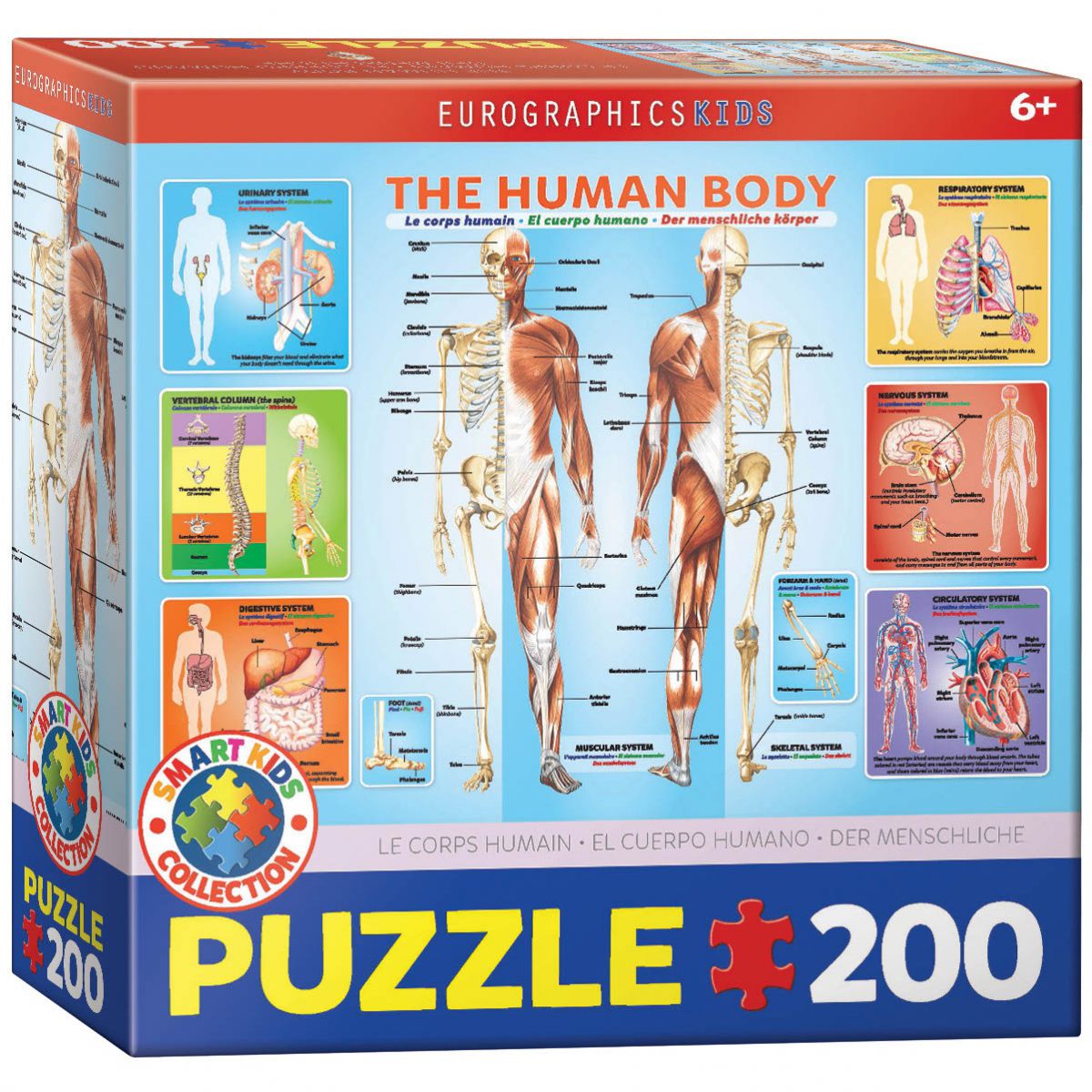 PUZZLE 200 DELOVA  6200-1000 HUMAN BODY