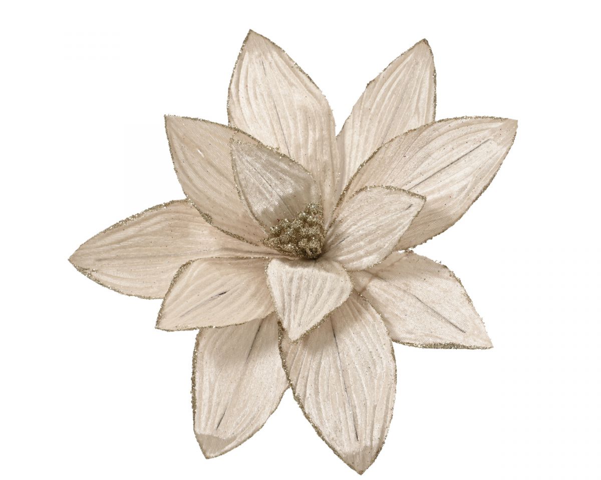 CVET UKRASNI 30X15CM CHAMPAGNE 629751