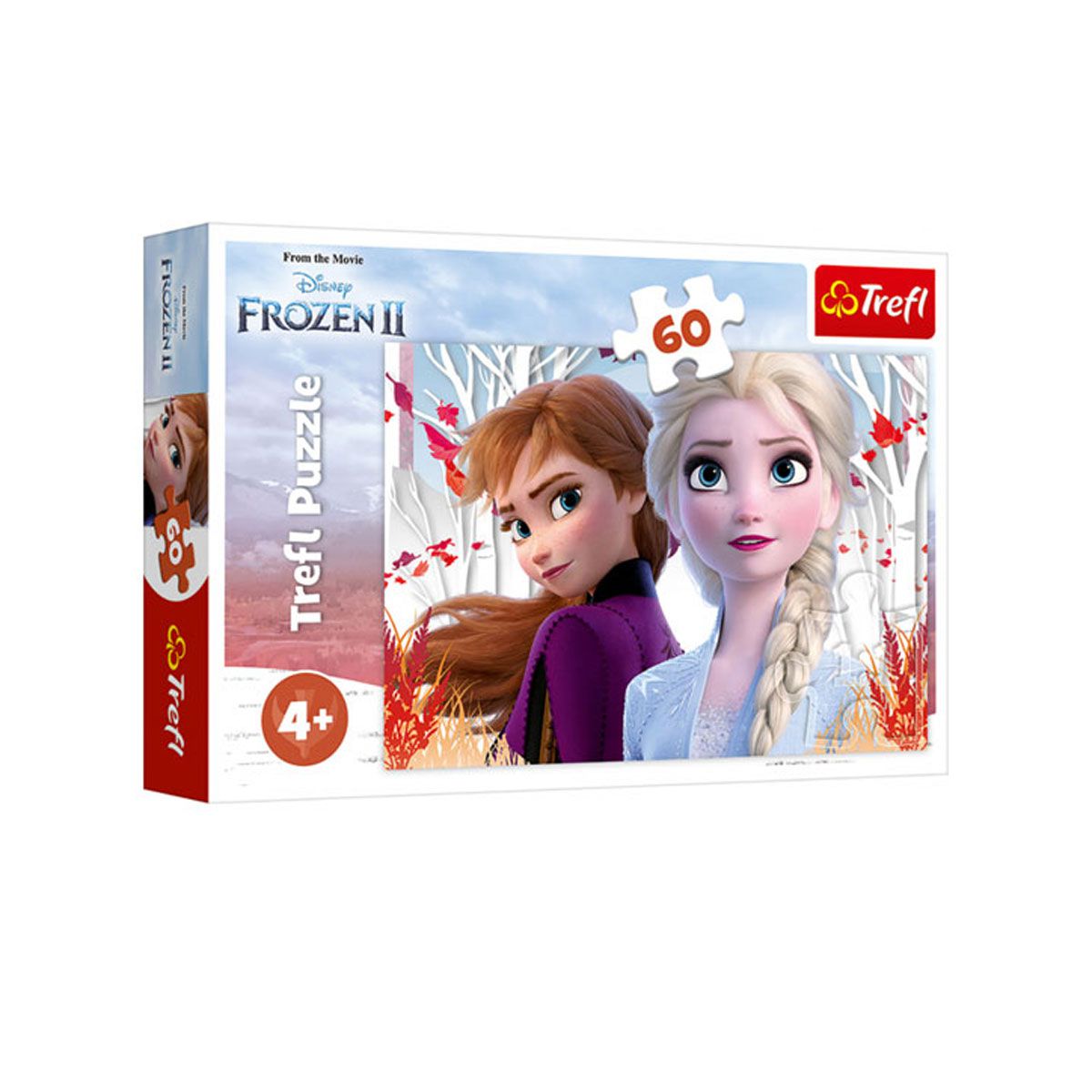 PUZZLE 60 DELOVA A THE ENCHANTED WO.T17333