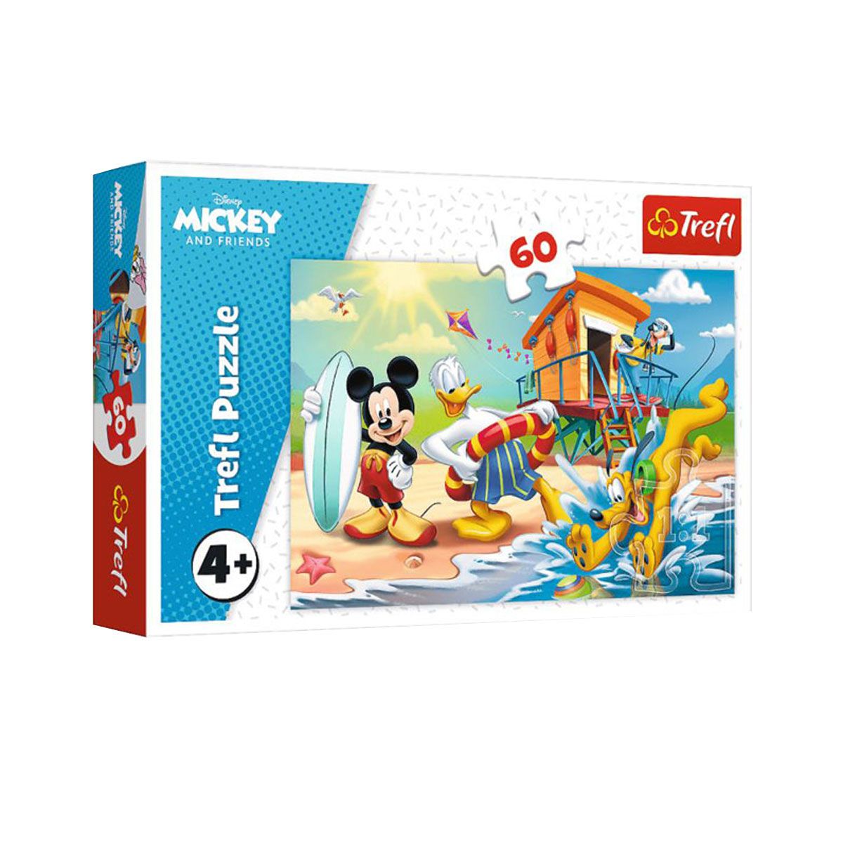 PUZZLE 60 DELOVA A INTERESTING DAY T17359